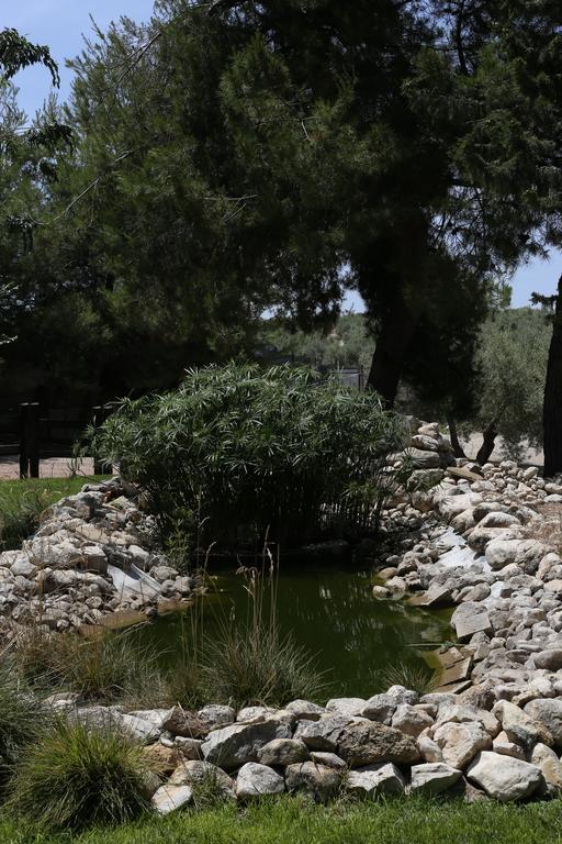 Alojamiento San Juan Bautista Cazorla Luaran gambar